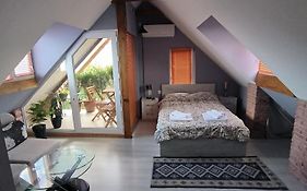 Guest House Calma